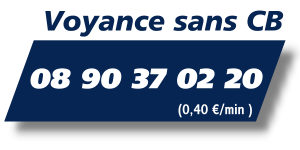 Voyance Audiotel Sans CB